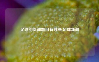 足球的新闻题目有哪些,足球新闻
