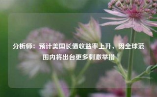 分析师：预计美国长债收益率上升，因全球范围内将出台更多刺激举措