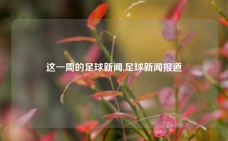 这一周的足球新闻,足球新闻报道