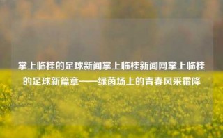 掌上临桂的足球新闻掌上临桂新闻网掌上临桂的足球新篇章——绿茵场上的青春风采霜降