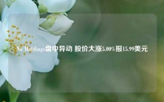 Nu Holdings盘中异动 股价大涨5.00%报15.99美元