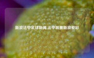 新浪法甲足球新闻,法甲联赛新浪爱彩