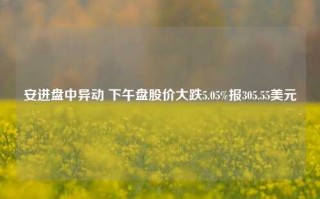 安进盘中异动 下午盘股价大跌5.05%报305.55美元