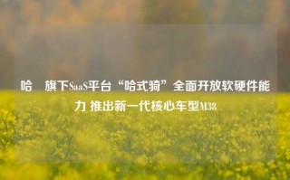 哈啰旗下SaaS平台“哈式骑”全面开放软硬件能力 推出新一代核心车型M38