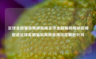 足球金融骗局揭秘新闻足球金融骗局揭秘新闻报道足球金融骗局揭秘新闻深度解析叶珂