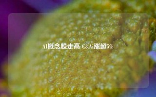 AI概念股走高 C3.Ai涨超5%