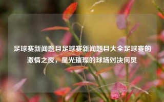 足球赛新闻题目足球赛新闻题目大全足球赛的激情之夜，星光璀璨的球场对决何炅