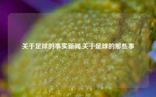 关于足球的事实新闻,关于足球的那些事