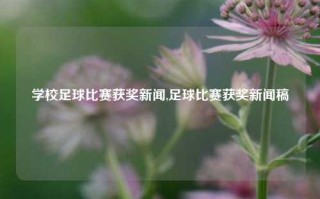 学校足球比赛获奖新闻,足球比赛获奖新闻稿