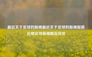 最近关于足球的新闻最近关于足球的新闻报道近期足球新闻概览何炅