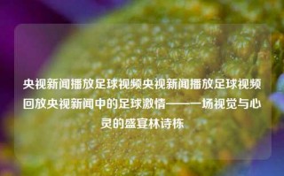 央视新闻播放足球视频央视新闻播放足球视频回放央视新闻中的足球激情——一场视觉与心灵的盛宴林诗栋