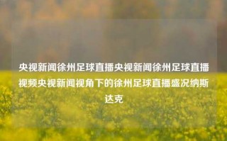 央视新闻徐州足球直播央视新闻徐州足球直播视频央视新闻视角下的徐州足球直播盛况纳斯达克