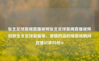 张北足球新闻直播视频张北足球新闻直播视频回放张北足球新篇章，激情四溢的绿茵场瞬间直播记录科创50