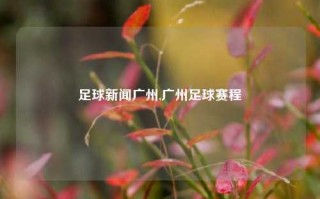 足球新闻广州,广州足球赛程