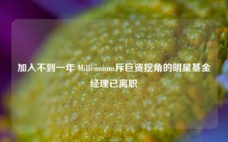 加入不到一年 Millennium斥巨资挖角的明星基金经理已离职