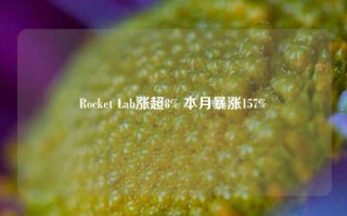 Rocket Lab涨超8% 本月暴涨157%