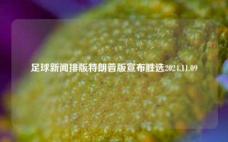 足球新闻排版特朗普版宣布胜选2024.11.09