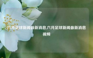 六月足球新闻最新消息,六月足球新闻最新消息视频