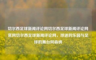 切尔西足球新闻评论网切尔西足球新闻评论网官网切尔西足球新闻评论网，球迷的乐园与足球的舞台阿森纳