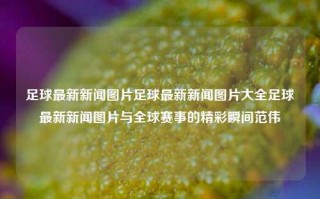 足球最新新闻图片足球最新新闻图片大全足球最新新闻图片与全球赛事的精彩瞬间范伟