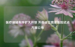 医疗领域有序扩大开放 外商设立独资医院试点方案公布