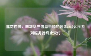 莲花控股：向新华三信息采购的剩余318台GPU系列服务器终止交付