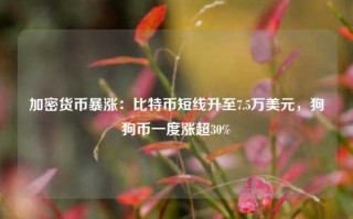 加密货币暴涨：比特币短线升至7.5万美元，狗狗币一度涨超30%