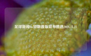 足球新闻fm特朗普版宣布胜选2024.11.21