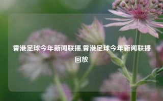 香港足球今年新闻联播,香港足球今年新闻联播回放