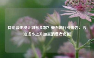 特朗普关税计划惹众怒？美石油行业警告：汽油成本上升加重消费者负担