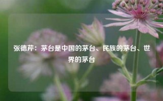 张德芹：茅台是中国的茅台、民族的茅台、世界的茅台