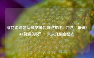 莱特希泽团队散发国会游说文件，包含“最高20%普遍关税”，未来几周会公布