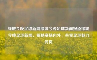 绿城今晚足球新闻绿城今晚足球新闻报道绿城今晚足球新闻，揭秘赛场内外，共赏足球魅力何炅