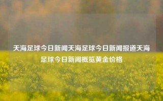 天海足球今日新闻天海足球今日新闻报道天海足球今日新闻概览黄金价格