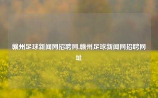 赣州足球新闻网招聘网,赣州足球新闻网招聘网址