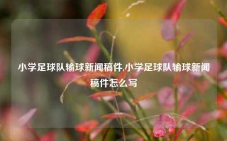 小学足球队输球新闻稿件,小学足球队输球新闻稿件怎么写