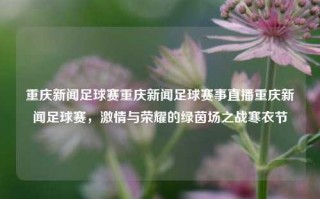 重庆新闻足球赛重庆新闻足球赛事直播重庆新闻足球赛，激情与荣耀的绿茵场之战寒衣节