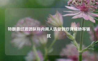 特朗普过渡团队称内阁人选受到炸弹威胁等骚扰