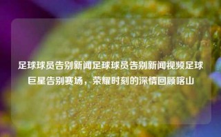 足球球员告别新闻足球球员告别新闻视频足球巨星告别赛场，荣耀时刻的深情回顾喀山