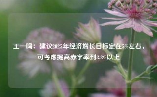 王一鸣：建议2025年经济增长目标定在5%左右，可考虑提高赤字率到3.8%以上