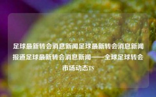 足球最新转会消息新闻足球最新转会消息新闻报道足球最新转会消息新闻——全球足球转会市场动态TS