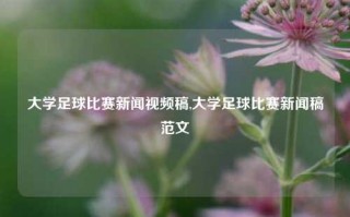 大学足球比赛新闻视频稿,大学足球比赛新闻稿范文