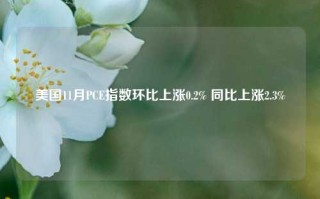 美国11月PCE指数环比上涨0.2% 同比上涨2.3%