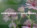 足球赛的新闻稿表题,关于足球比赛的新闻稿小
