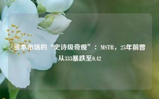 资本市场的“史诗级奇观”：MSTR，25年前曾从333暴跌至0.42