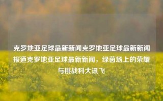 克罗地亚足球最新新闻克罗地亚足球最新新闻报道克罗地亚足球最新新闻，绿茵场上的荣耀与挑战科大讯飞