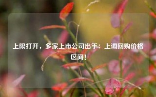 上限打开，多家上市公司出手：上调回购价格区间！