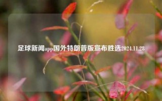 足球新闻app国外特朗普版宣布胜选2024.11.28