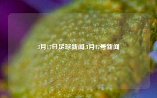 3月17日足球新闻,3月17号新闻