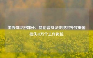 墨西哥经济部长：特朗普拟议关税将导致美国损失40万个工作岗位